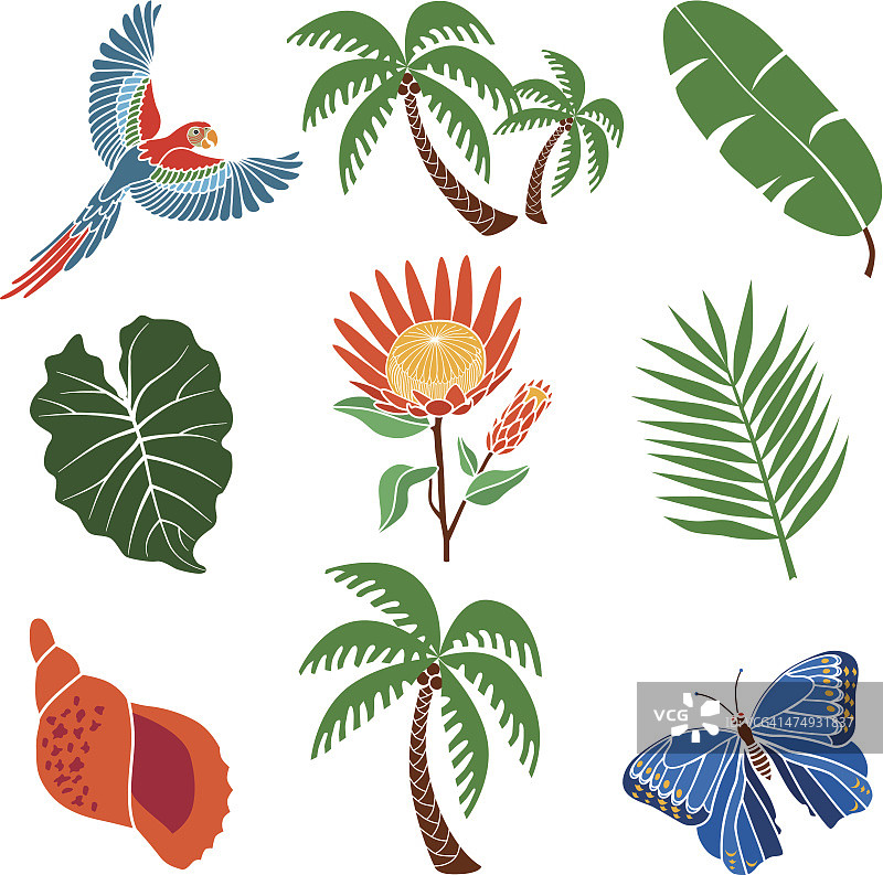 热带动植物图片素材