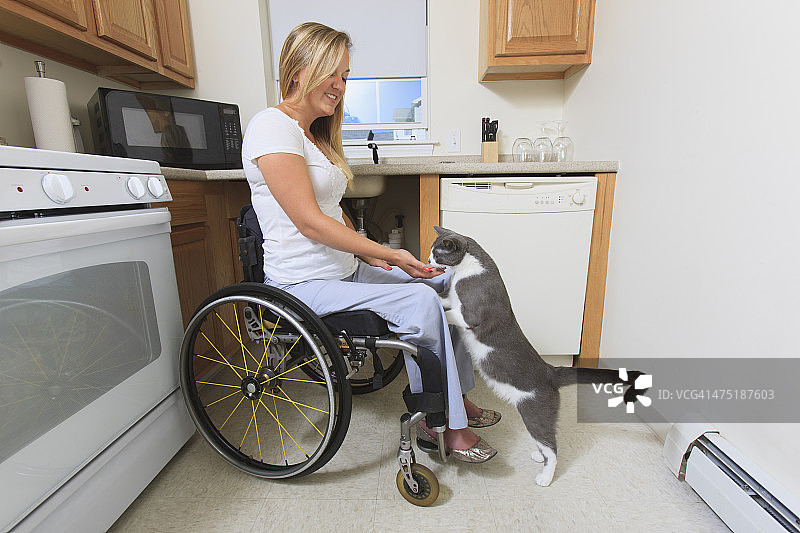 一位脊髓受伤的妇女在她可到达的厨房里喂她的猫图片素材