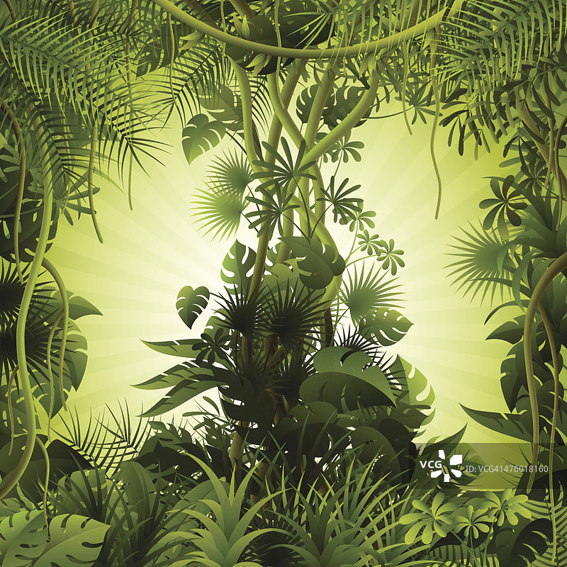热带森林背景图片素材