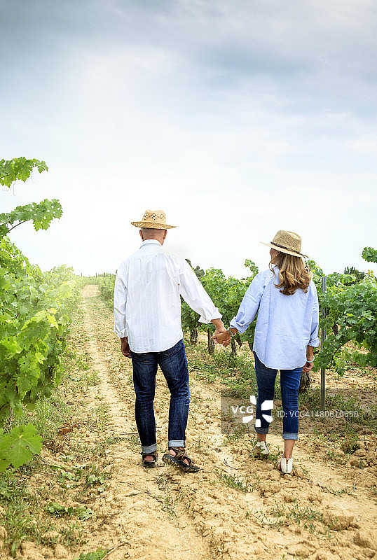 一对成熟的夫妇在葡萄园里散步。图片素材