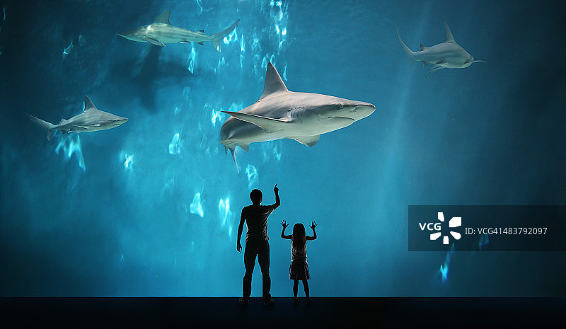 父亲和女儿在水族馆看鲨鱼图片素材