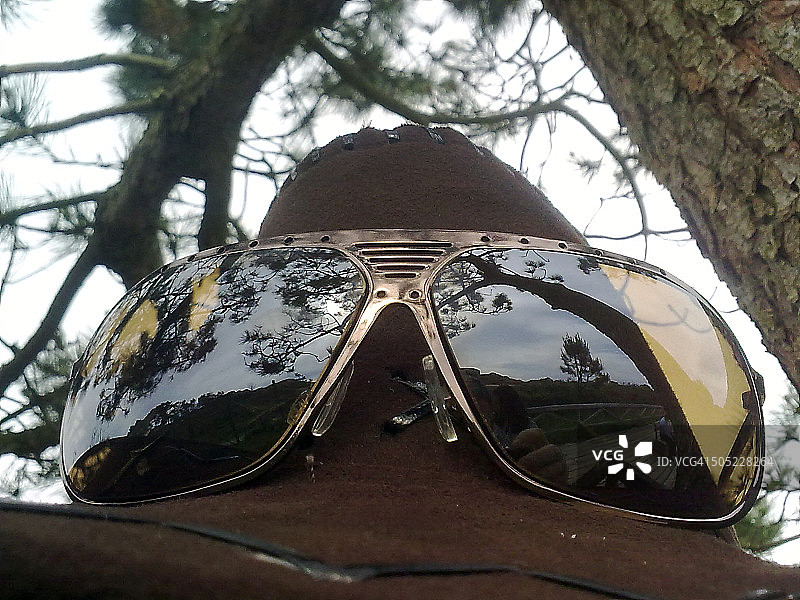 太阳镜和帽子放在树上图片素材