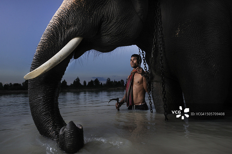 人和大象的生活图片素材