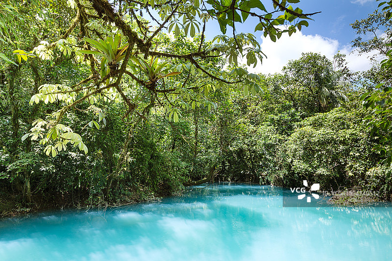 哥斯达黎加绿色森林中的塞莱斯特河图片素材