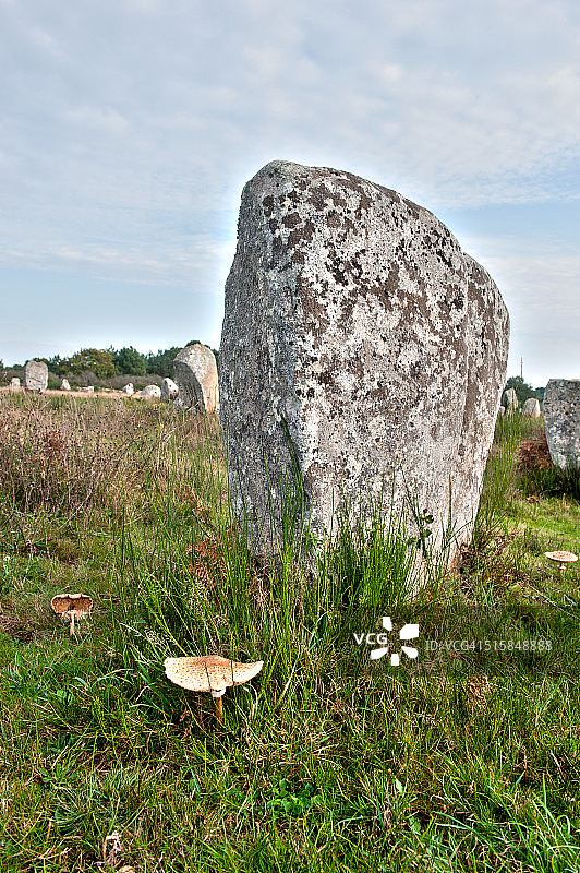 法国布列塔尼地区莫比汉地区卡纳克的巨石图片素材