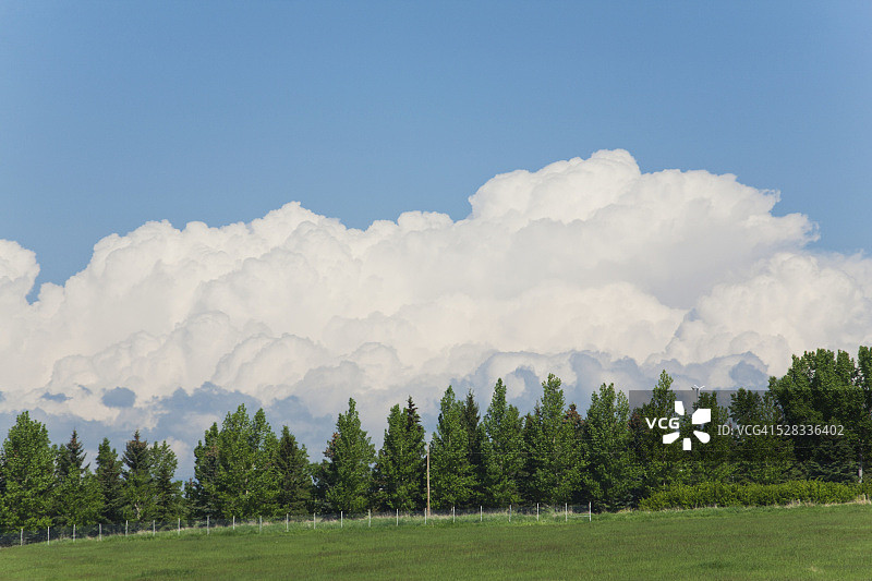 一排树框着乌云，绿野映着蓝天;卡尔加里,加拿大阿尔伯塔省图片素材