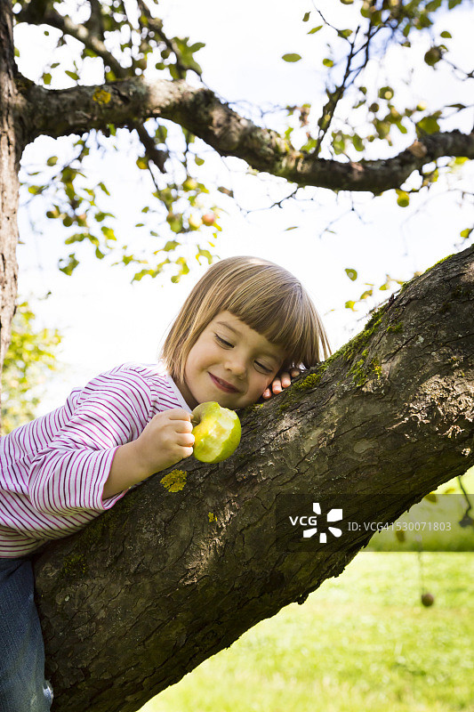 微笑的小女孩坐在一棵咬着苹果的苹果树上图片素材