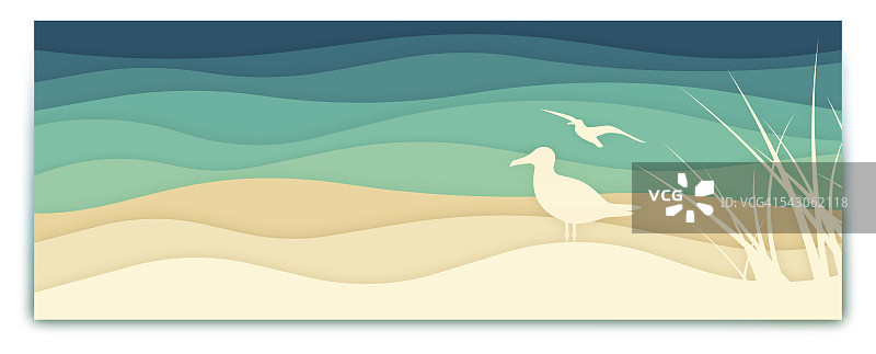 海鸥海洋横幅图片素材