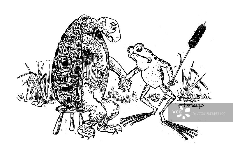 古董童书漫画插图:乌龟和青蛙图片素材