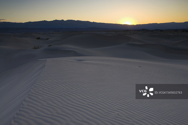 日落时的牧豆树沙丘图片素材