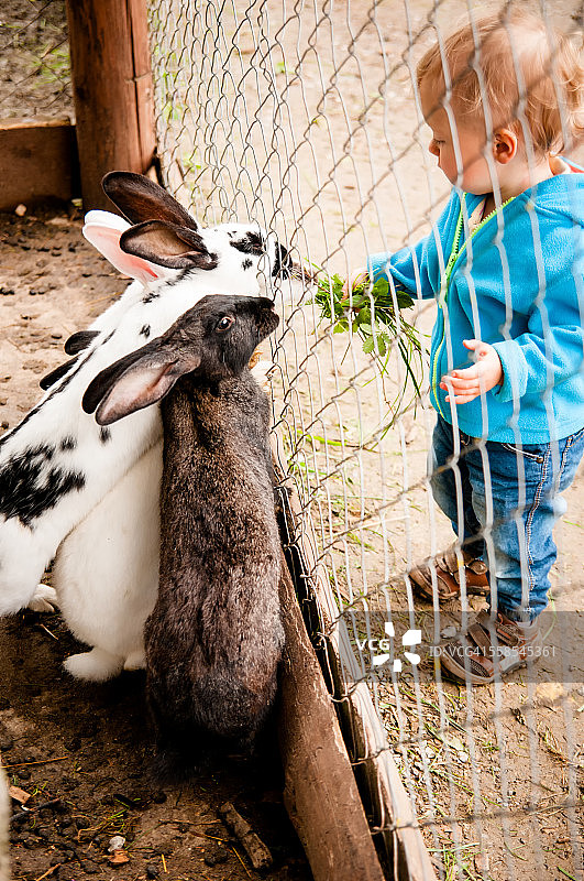 婴儿喂养兔子图片素材