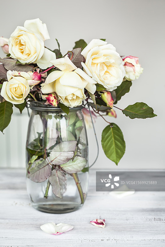 白玫瑰花束图片素材