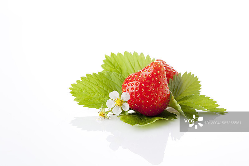 草莓，草莓，花和叶子图片素材