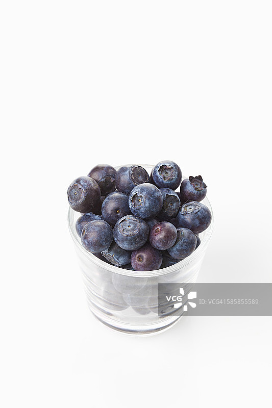玻璃蓝莓，桃金娘图片素材