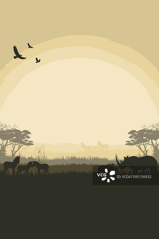 非洲狩猎背景，有犀牛和斑马图片素材