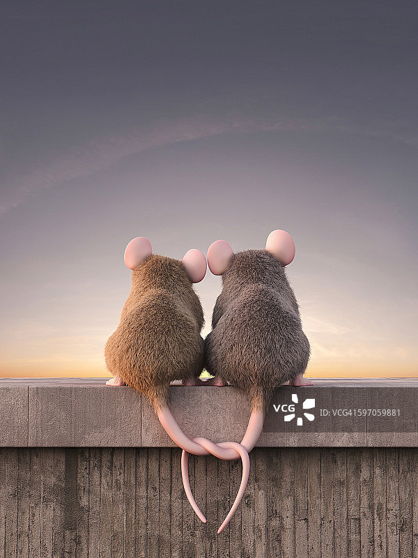 两只相爱的老鼠坐在墙上看日落图片素材