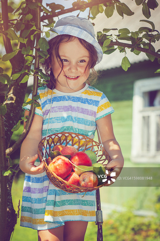 小女孩在树上摘苹果图片素材