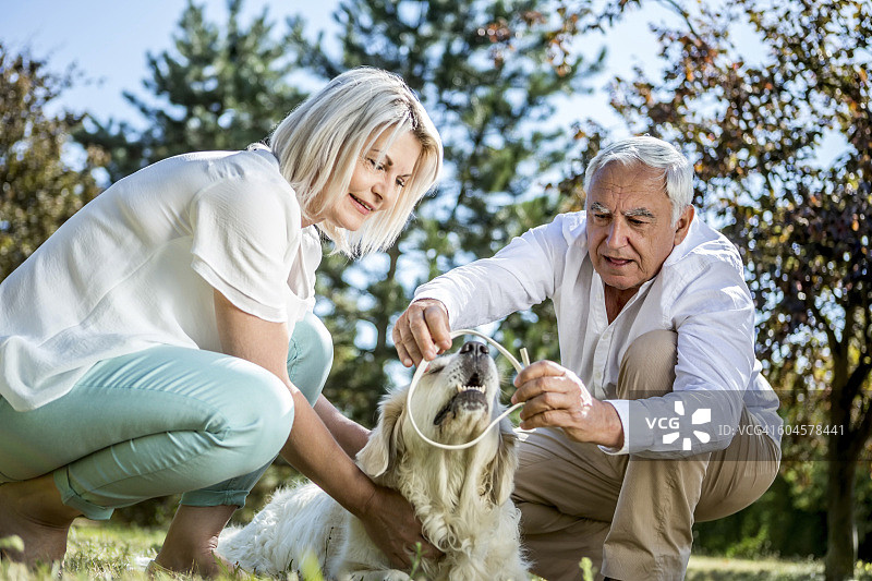 一对老年夫妇和一只狗在草地上图片素材