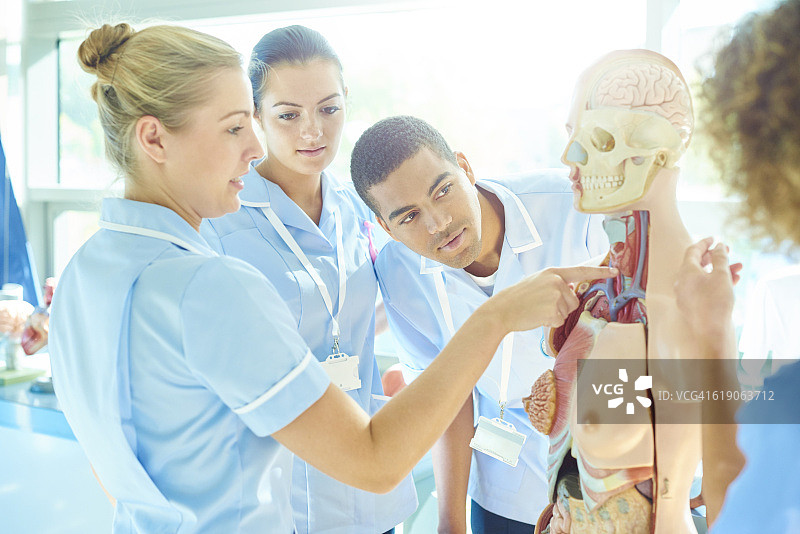 护理学生与导师讨论解剖学图片素材