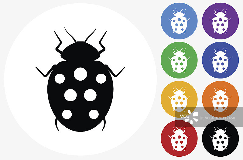 瓢虫图标在平面颜色的圆圈按钮图片素材