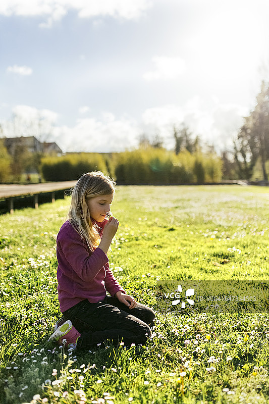 小女孩蹲在草地上，闻着雏菊的香味图片素材