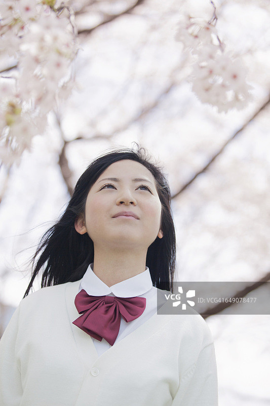 日本高中生们站在樱花树后面图片素材