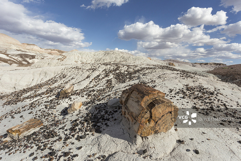 在亚利桑那州的石化森林国家公园的蓝色台地，可以看到石化木材的碎片图片素材