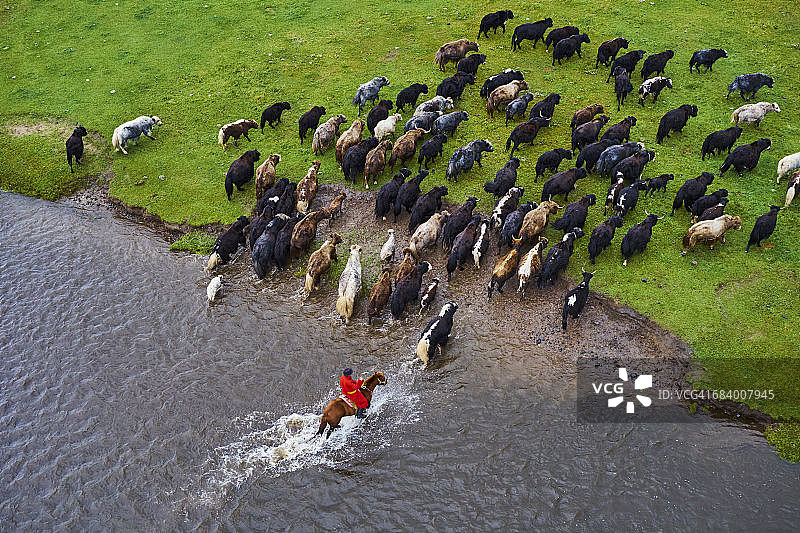 蒙古、牦牛牧人图片素材