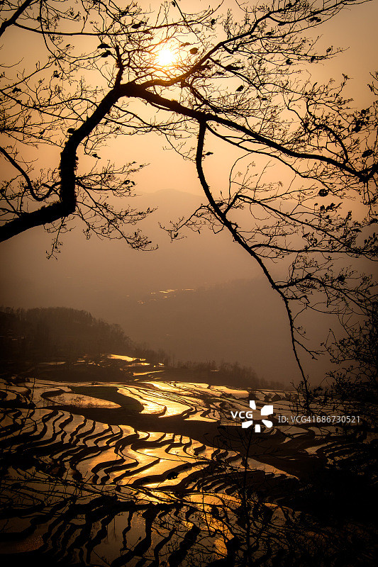 夕阳下的梯田，红河哈尼，中国云南盛图片素材