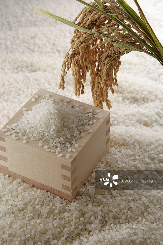 生米和穗米图片素材