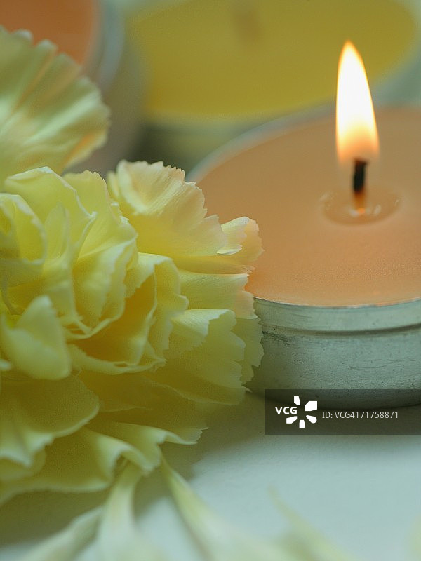 高角度的蜡烛和花瓣的康乃馨花图片素材
