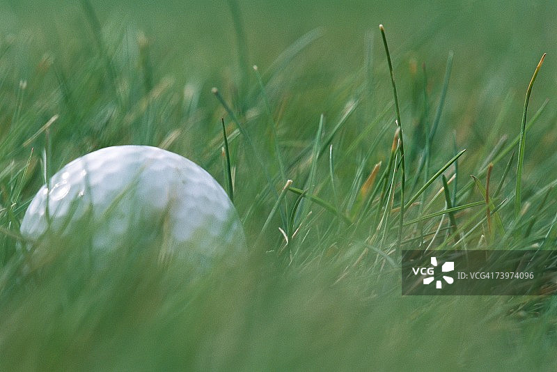 草地上的高尔夫球，特写镜头图片素材