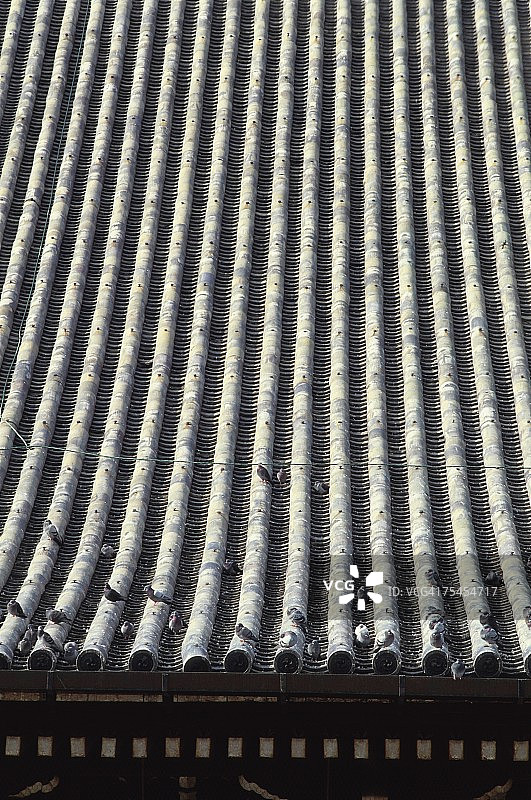 日本京都地区东洪安寺屋顶图片素材