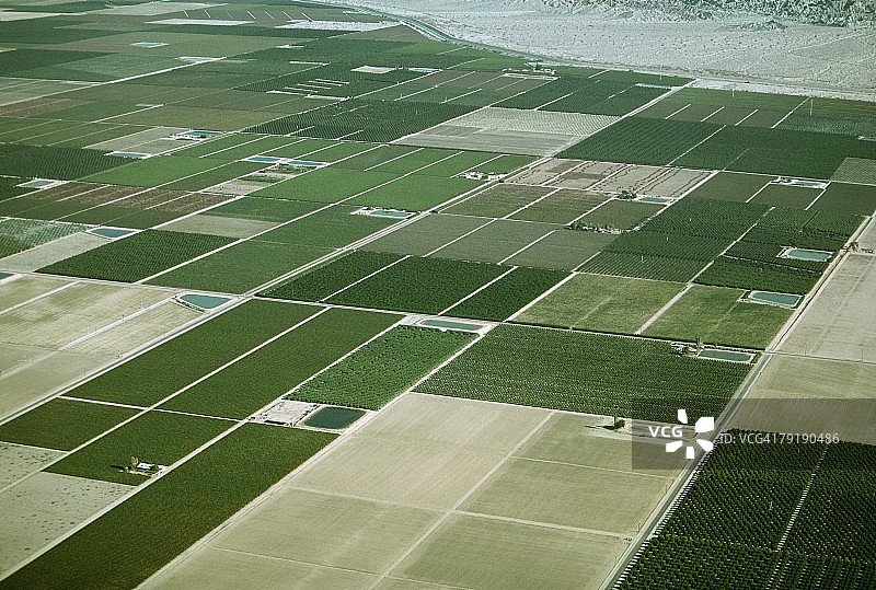 沙漠农业，帝王谷，加利福尼亚图片素材