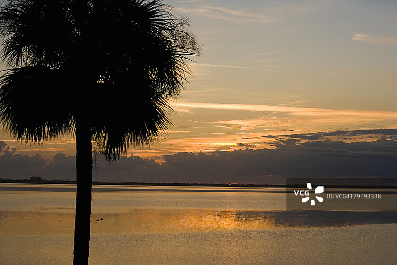 棕榈树的剪影，圣奥古斯丁海滩，美国佛罗里达图片素材