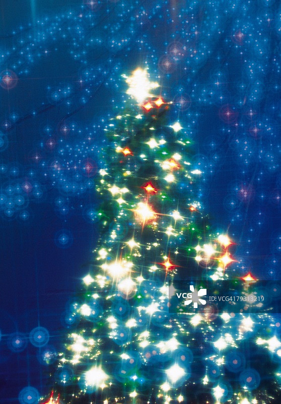 照明圣诞树，低角度的视图图片素材