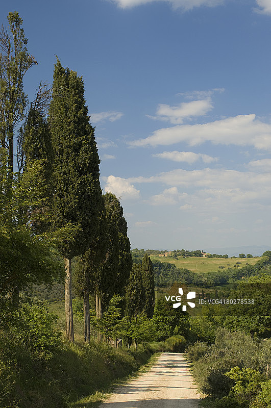 欧洲，意大利，托斯卡纳，锡耶纳省，Val d'Orcia, Montepulciano附近的乡村图片素材