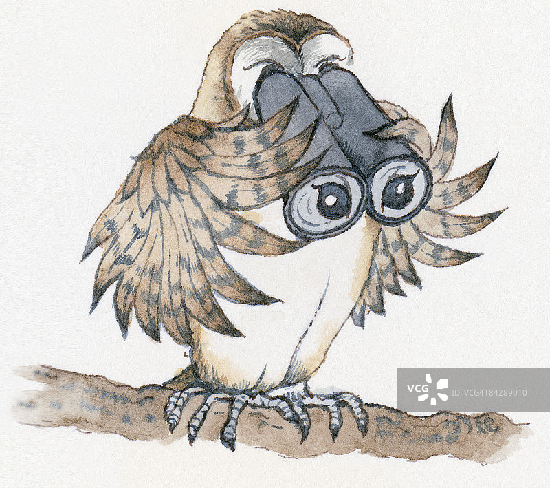 卡通猫头鹰栖息在树枝上，通过它的翅膀持有的双眼看图片素材