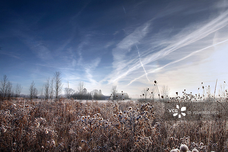 卡莱尔附近田野上的早霜图片素材