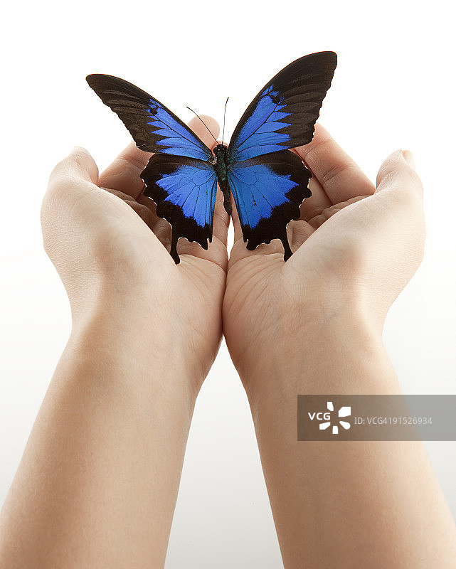 手里拿着一只蓝蝴蝶的女人图片素材