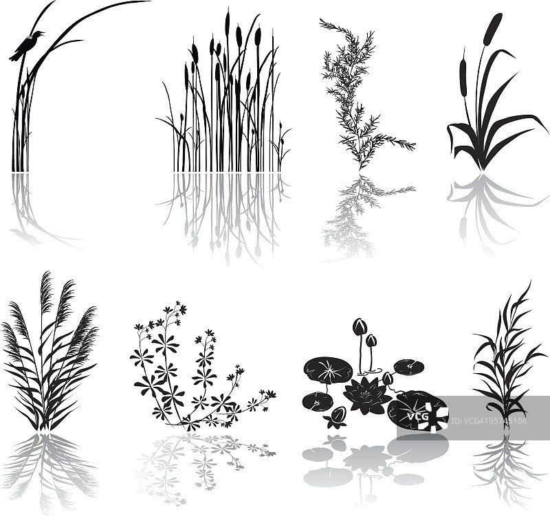 湿地黑色剪影图标与多个沼泽元素和阴影图片素材