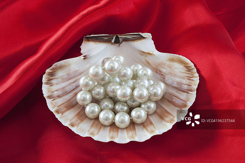 珍珠的牡蛎图片素材