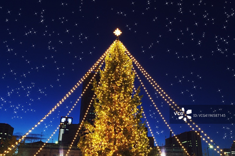 日本本州大阪府的圣诞树图片素材