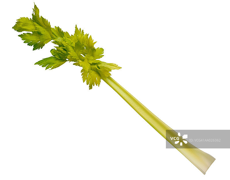 芹菜茎,特写图片素材