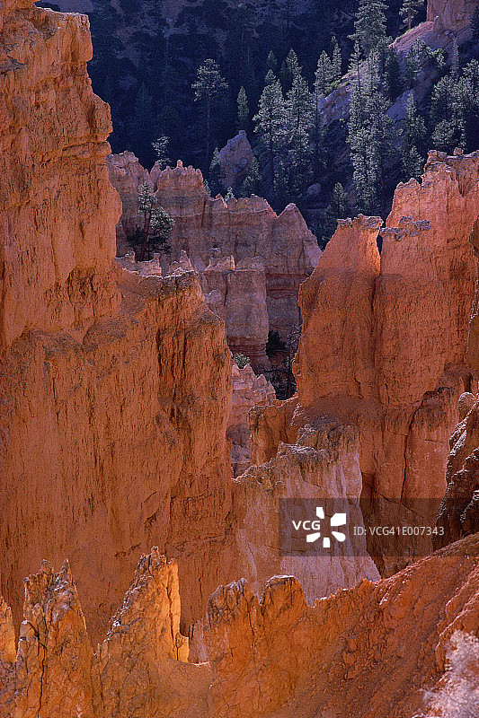 布莱斯峡谷的岩层，远处的树木图片素材