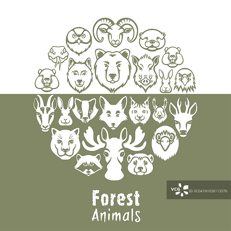野生森林动物拼贴图片素材