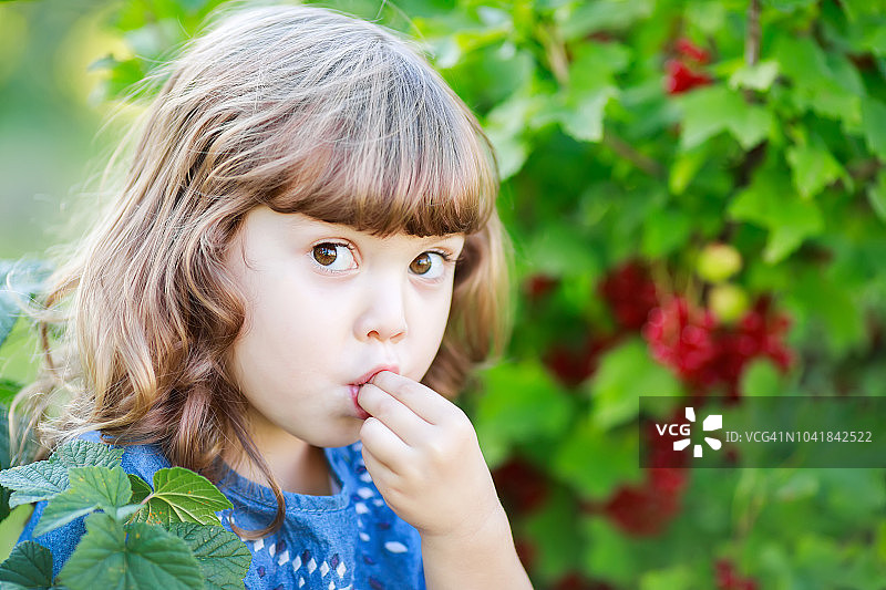 可爱快乐的小女孩在花园里，吃着红醋栗笑着图片素材