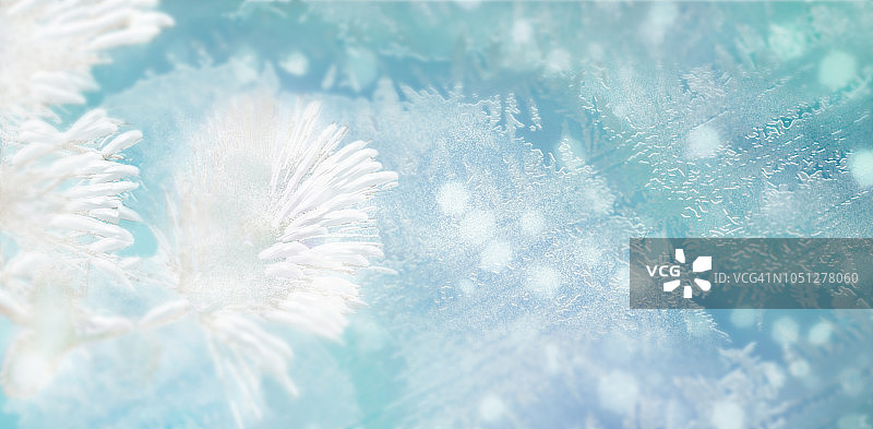 冬季闪亮的雪花模糊背景在浅蓝色。模糊的圣诞假期背景用雪花树枝上的冷杉、霜花图案图片素材