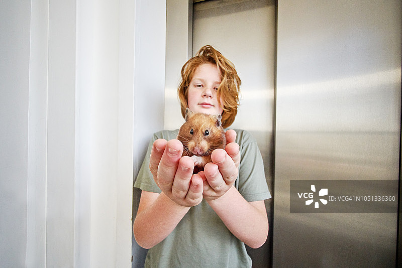 一个小男孩抱着他的宠物金仓鼠“海蒂”。图片素材