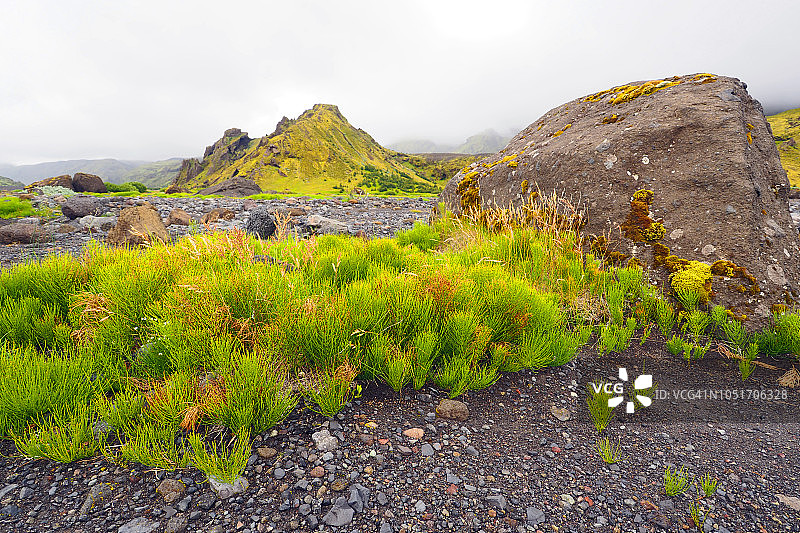 拉基加:火山景观，原生植被图片素材